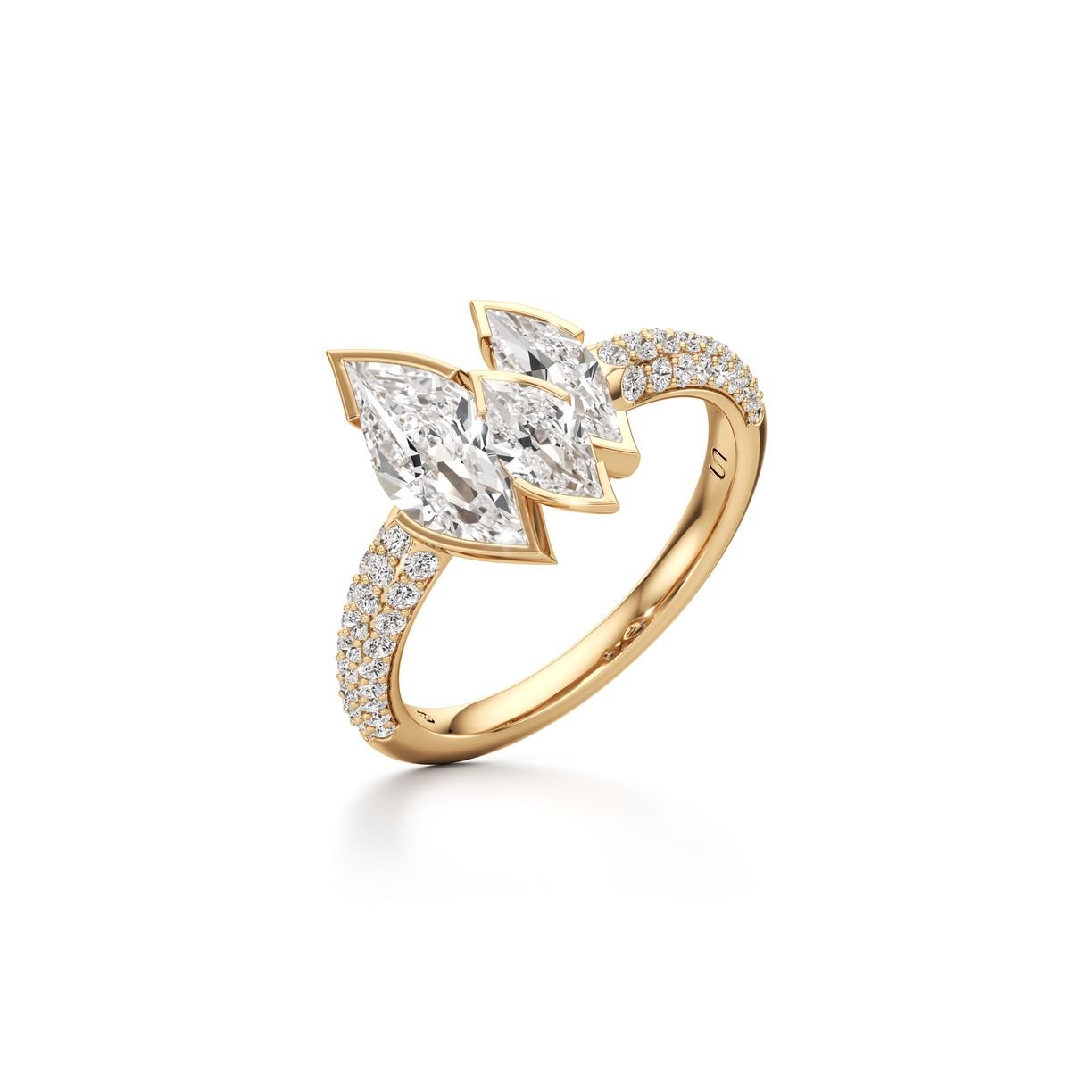 desert bloom desert bloom